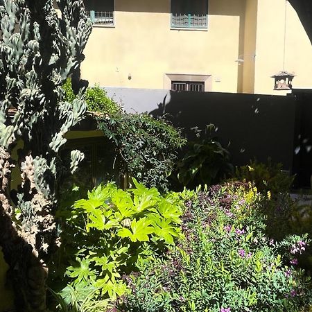 Loquat House Nel Giardino Segreto In Zona Vaticano Rom Eksteriør billede