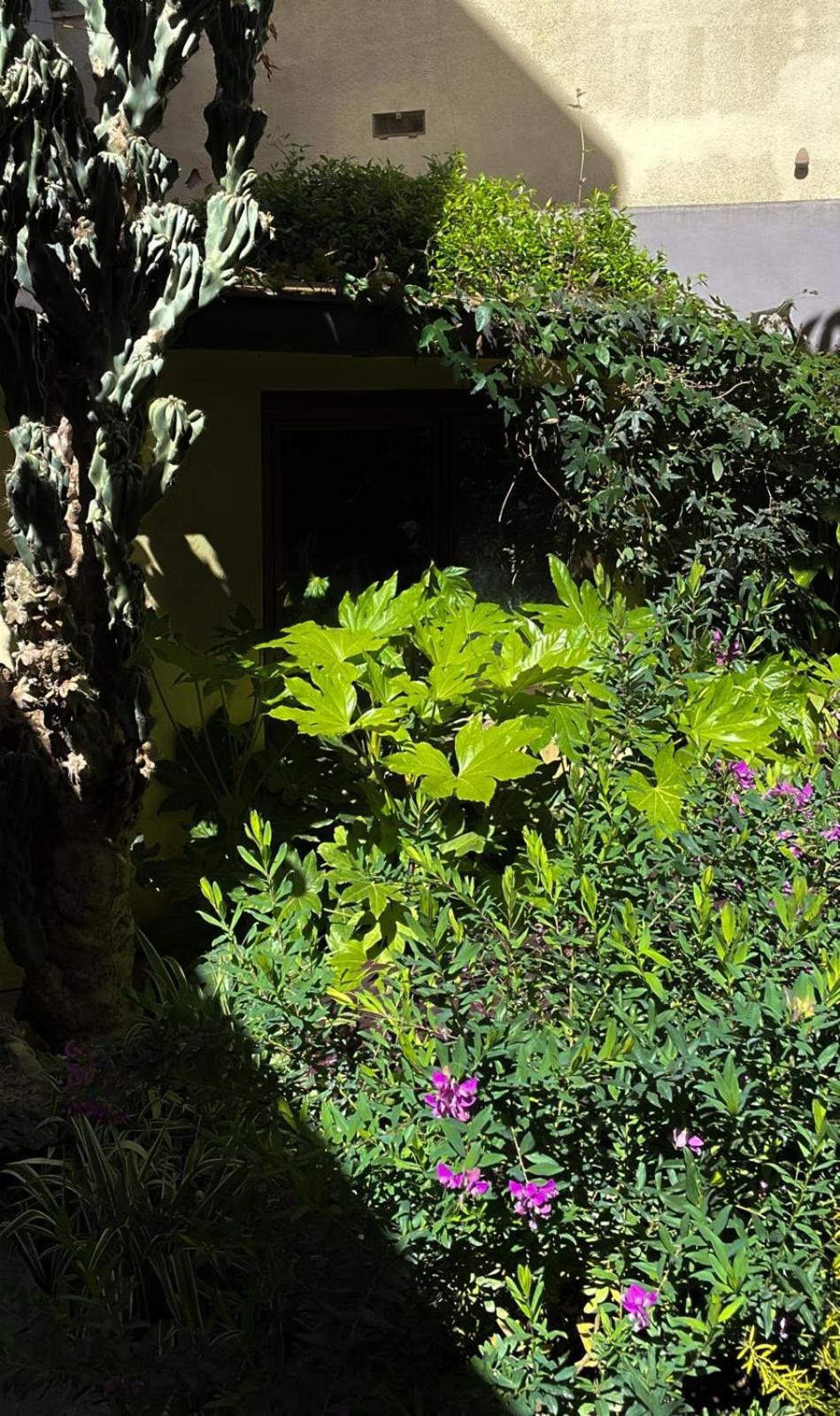 Loquat House Nel Giardino Segreto In Zona Vaticano Rom Eksteriør billede