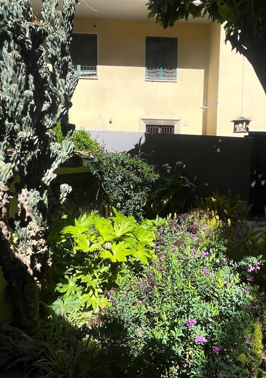 Loquat House Nel Giardino Segreto In Zona Vaticano Rom Eksteriør billede